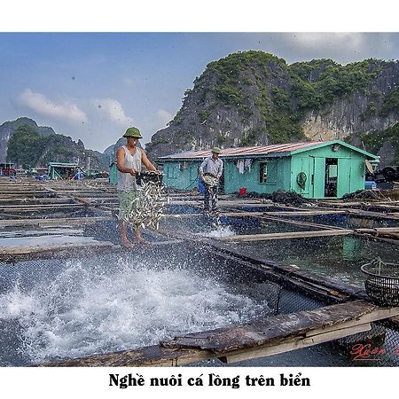 Cat Ba Hostel Кат-Ба Экстерьер фото