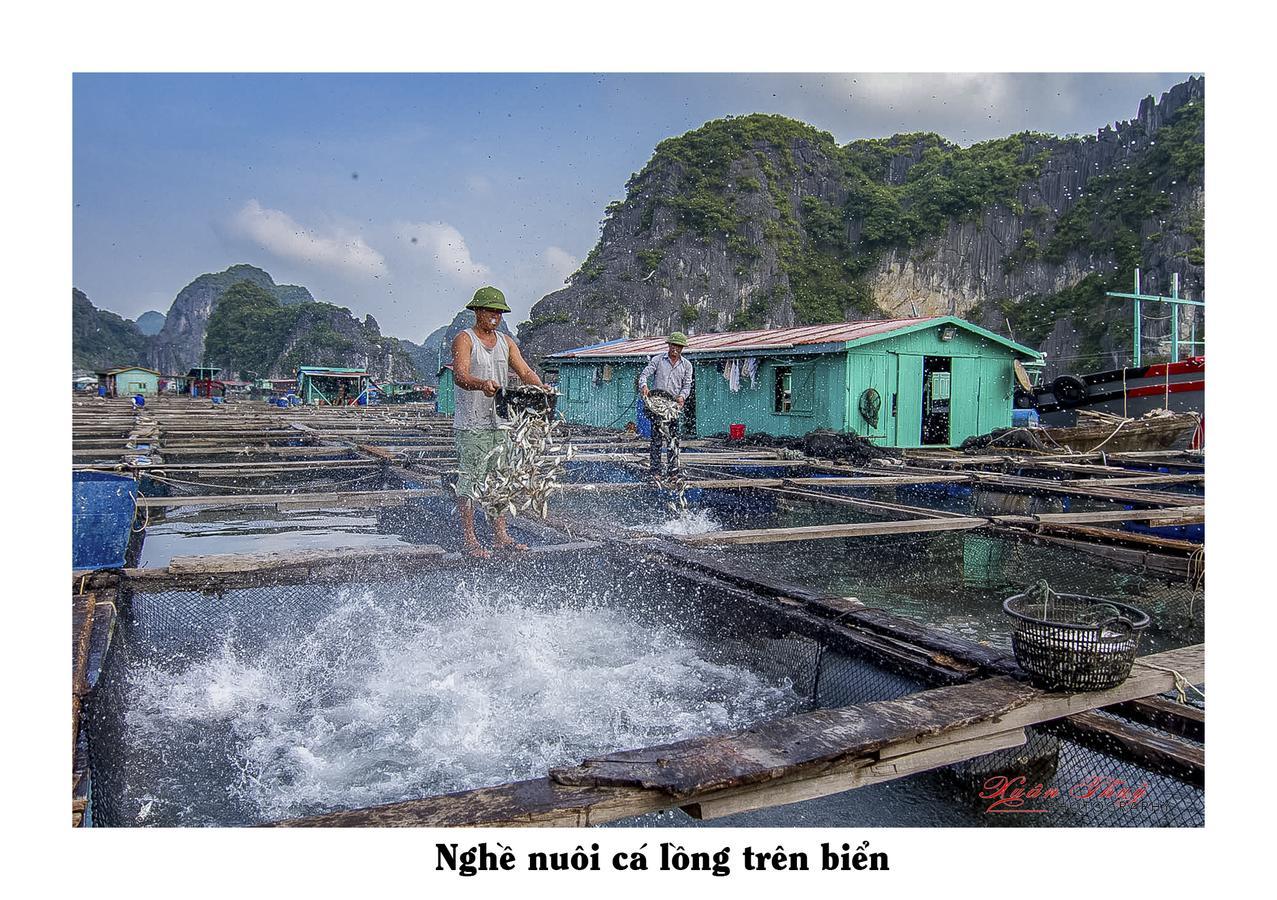 Cat Ba Hostel Кат-Ба Экстерьер фото