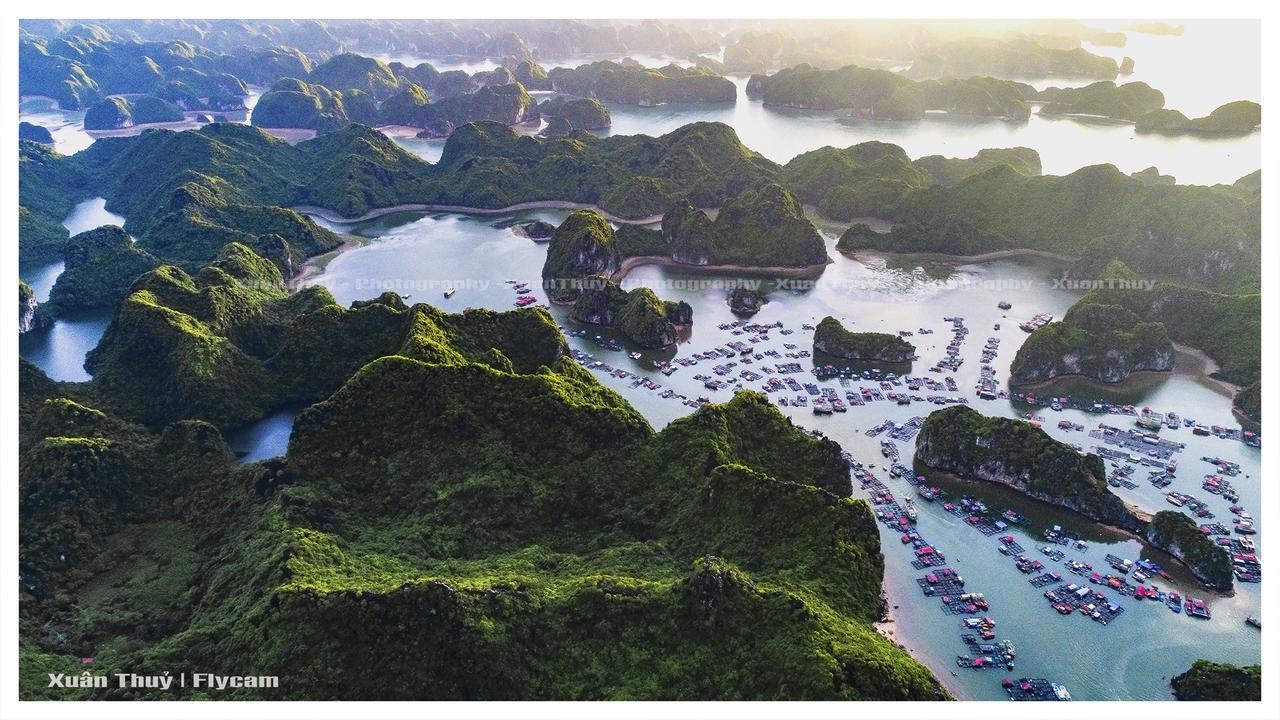 Cat Ba Hostel Кат-Ба Экстерьер фото