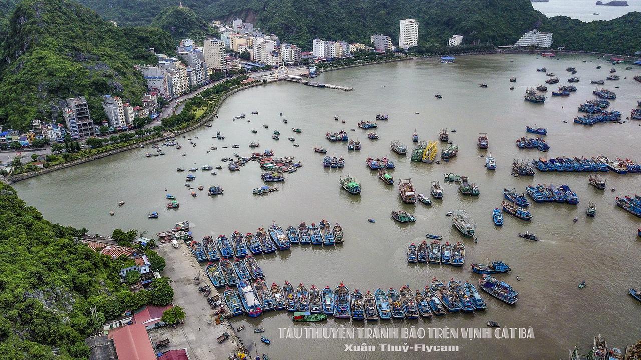 Cat Ba Hostel Кат-Ба Экстерьер фото